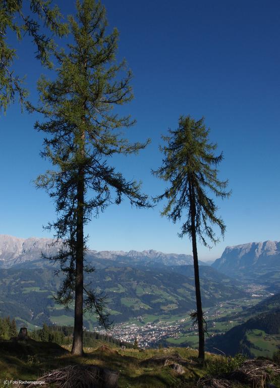 Apartament Hinterburgschwaig Hof Sankt Johann im Pongau Zewnętrze zdjęcie